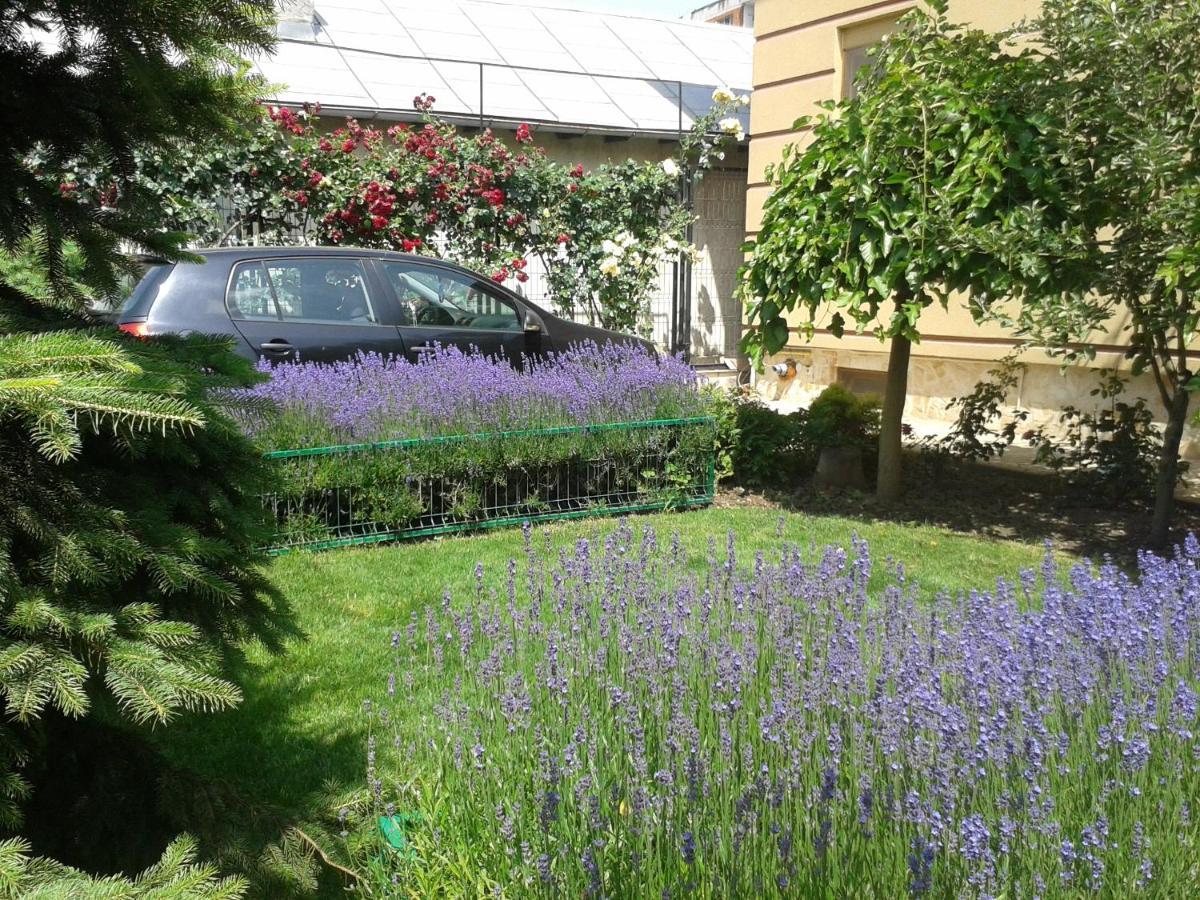 Casa Edwin Bed & Breakfast Constanţa Exterior foto